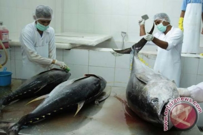 Indonesia Tawarkan Ikan Kepada Importir Marseille