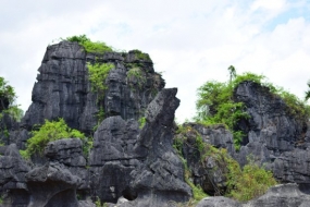 Hutan Batu Rammang-Rammang