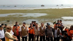 Hutan Pantai Dapat Kurangi Risiko Bahaya Tsunami