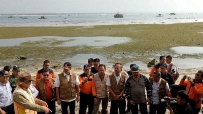 Hutan Pantai Dapat Kurangi Risiko Bahaya Tsunami