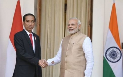 Merayakan 70 Tahun Hubungan Bilateral, Indonesia - India Perkuat Kerja Sama di Berbagai Bidang