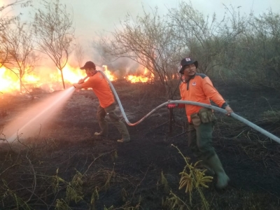 El Nino Datang, KLHK Mulai Antisipasi Kebakaran Hutan Dan Lahan