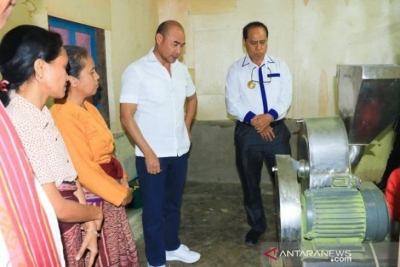 Gubernur NTT Viktor Bungtilu Laiskodat (kedua kanan) saat meninjau produksi tepung kelor yang dikelola BUMDes M&#039;rian di Desa Kufeu, Kecamatan Io Kufeu, Kabupaten Malaka pada Sabtu (6/7/2019). Produksi tepung kelor ini dimintai pasar dari Jepang dengan permintaan mencapai 40 ton per minggu.