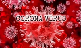 Virus corona (ANTARA/HO)