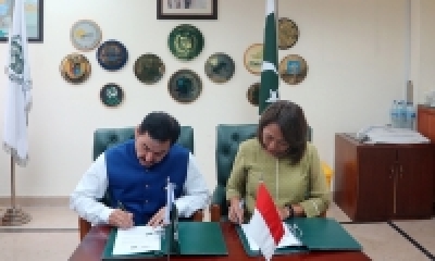 Kedua delegasi juga membahas sejumlah isu perdagangan bilateral, antara lain akses pasar produk hortikultura Pakistan, isu pengamanan perdagangan, perbedaan pencatatan data perdagangan, implementasi MoU on Trade Promotion, dan hambatan non tarif yang diterapkan di Pakistan.