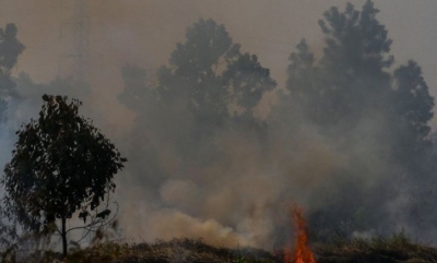 Asap pekat mengepul dari lahan gambut yang terbakar di Pekanbaru, Riau, Kamis (1/8/2019). ANTARA FOTO/Rony Muharrman