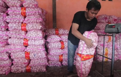 Ilustrasi. Pekerja menimbang bawang putih impor dari China di gudang bawang di Malang, Jawa Timur. ANTARA FOTO/Ari Bowo Sucipto/nz