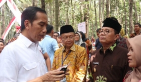 Presiden RI Minta Aparat Keamanan Serius Tangani Pembalakan Liar