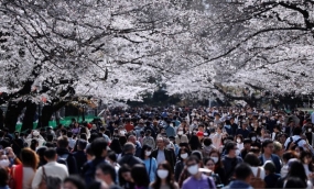 Pengunjung memakai masker di tengah meluasnya penularan virus COVID-19 saat menikmati sakura mekar di taman Ueno, Tokyo, Jepang, Minggu (22/3/2020). ANTARA FOTO/REUTERS/Issei Kato/AWW/djo (REUTERS/ISSEI KATO)