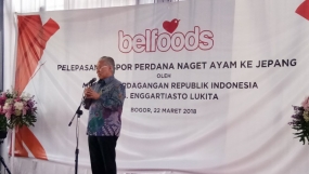 Produk Nugget Ayam Indonesia Berhasil Tembus Pasar Negeri Sakura