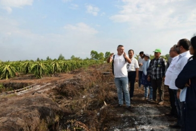 Delegasi UEA bersama perwakilan pemerintah pusat dan daerah, saat mengunjungi lahan perkebunan buah naga yang berada di Kelurahan Kalampangan, Kecamatan Sabangau, Palangka Raya, Sabtu, (3/8/2019).