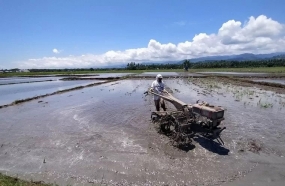 Petani Parigi, Kabupaten Parigi Moutong, Sulawesi Tengah mulai menggarap sawah menggunakan traktor tangan sebelum ditanami benih padi, Rabu (11/3/2020). (ANTARA/Moh Ridwan)