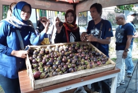 Bupati Purwakarta Anne Ratna Mustika, saat mengunjungi stand dalam Festival Manggis Purwakarta 2019, Sabtu (23/4).