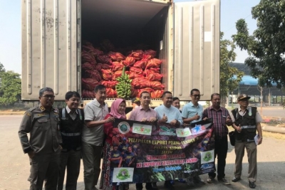 Pemberangkatan ekspor pisang dari Puspa Agro Sidoarjo Jawa Timur ke Malaysia.