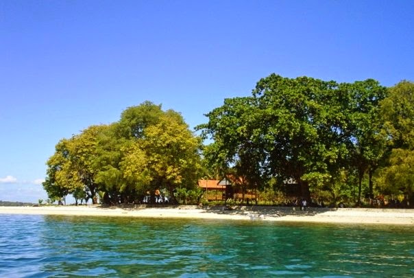 在 中 Sulawesi  省， Tolitoli 地区 的 Lingayan岛