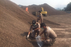 農業省の農業検疫局の多数の役員が、輸出の準備ができているヤシの殻のチェックを実施しています。