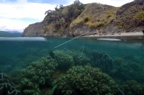 中部スラウェシ州の魅力的なPULAU DUAの観光地