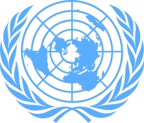 インドネシアは、国連安全保障理事会で3つの柱改革を強調