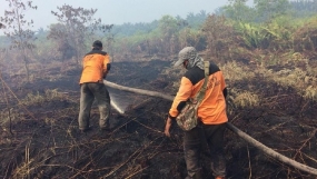 国家防災庁は、リアウでの土地火災は克服されたと主張した