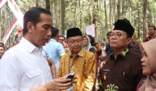 インドネシア大統領は、治安部隊に違法伐採を真剣に処理するよう求める