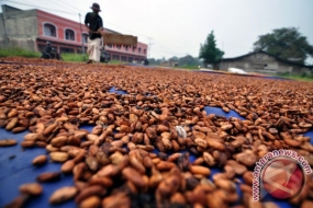 貿易省は、お茶、コーヒー、ココアを英国に輸出することを目指している