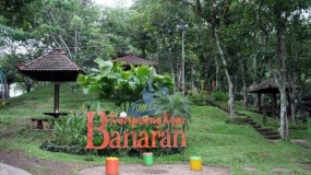 中部ジャワ州の観光地BANARAN（バナラン）コーヒー村
