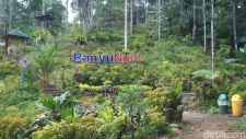 東ジャワ州のTrenggalek県のBANYU NGETの自然観光地