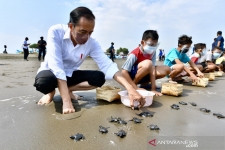 总统呼吁公众参与保护海龟