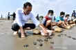 总统呼吁公众参与保护海龟