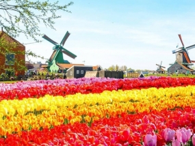游客可能从6月15日开始前往荷兰