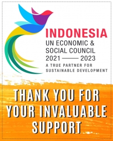 印度尼西亚当选为联合国经济及社会理事会成员