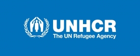 联合国难民事务处呼吁营救滞留在Andaman海的罗兴亚人