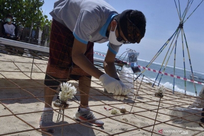 在巴厘岛巴东潘达瓦海滩 2020年12月30日举行的印度尼西亚珊瑚礁花园（ICRG）国家经济恢复计划社会化过程中，居民们进行珊瑚礁的种植。