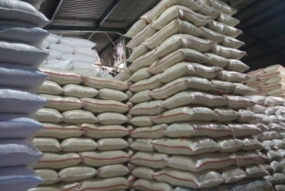 农业部称呼，稻米生产有出口潜力