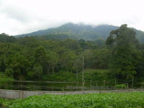 Susuk池塘