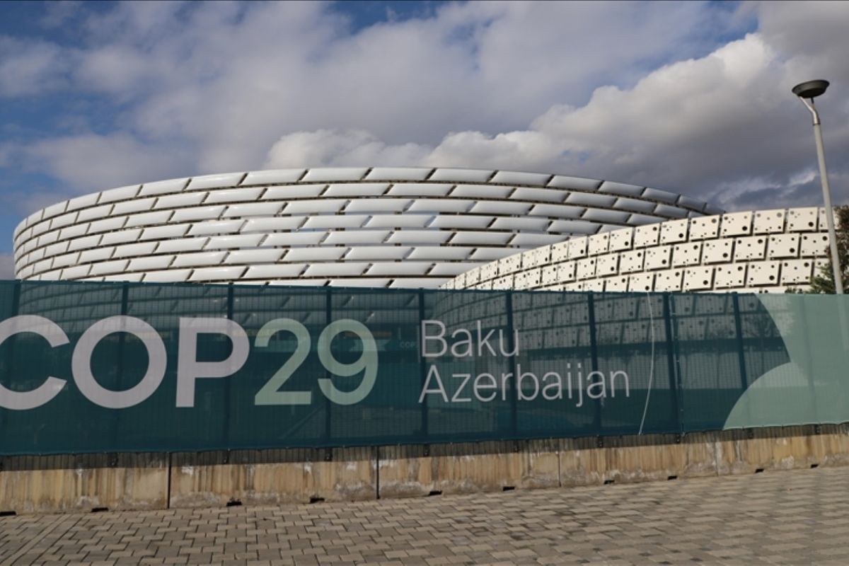 COP29