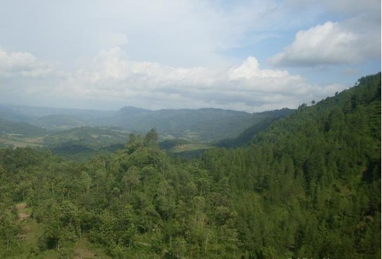 Pentulu Indah