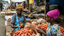 El coronavirus podría infectar a más de 200 millones en África: modelos de la OMS