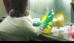 El nuevo coronavirus sobrevive 28 días en vidrio y moneda, según investigadores australianos