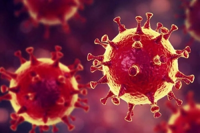 El coronavirus ya está en Italia en diciembre, según un estudio sobre aguas residuales