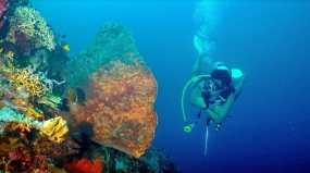 Parque Marino Olele en Gorontalo