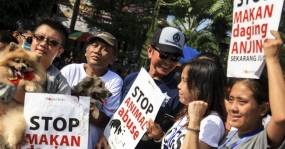 Indonesia prohibirá el consumo de carne de perro