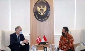 Indonesia-Dinamarca analizan cooperación en energía renovable del sector marino